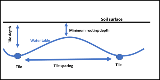 Figure 4.3. Tile spacing and resulting maximum water table following exit of free water. Tile spacing and depth determine the depth of water table in the middle of tile spacing. Tile spacing and depth should result in sufficient depth of water table in the middle of the spacing for adequate root development. NDSU image.
